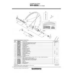1 Corps De Roue Libre SHIMANO Y49398060 WH-6800-R Ultegra Complete Freewheel Body -Boutique Prologo 1 corps de roue libre shimano y49398060 wh 6800 r ultegra complete freewheel body 2